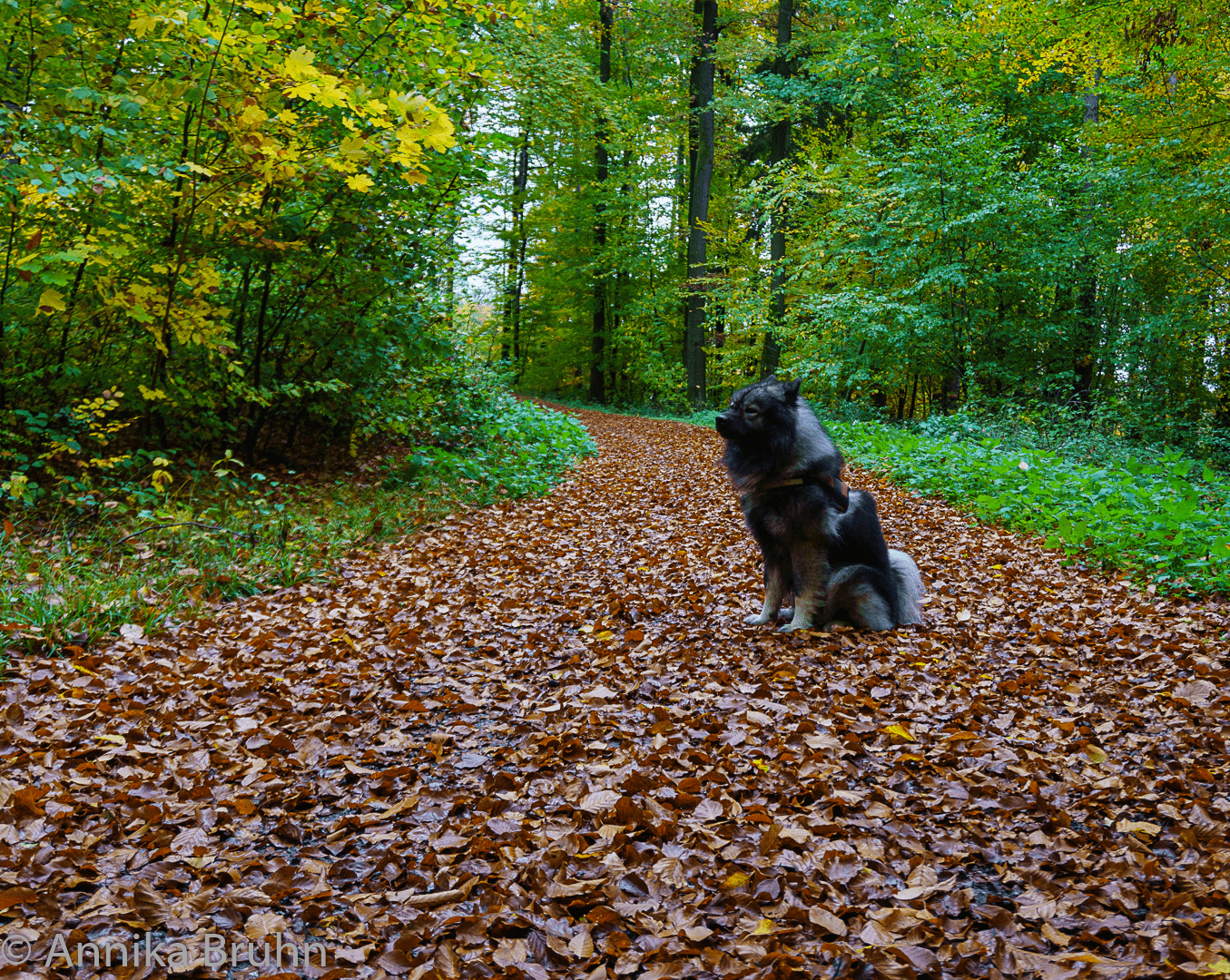 Q auf den Weg in den Herbst